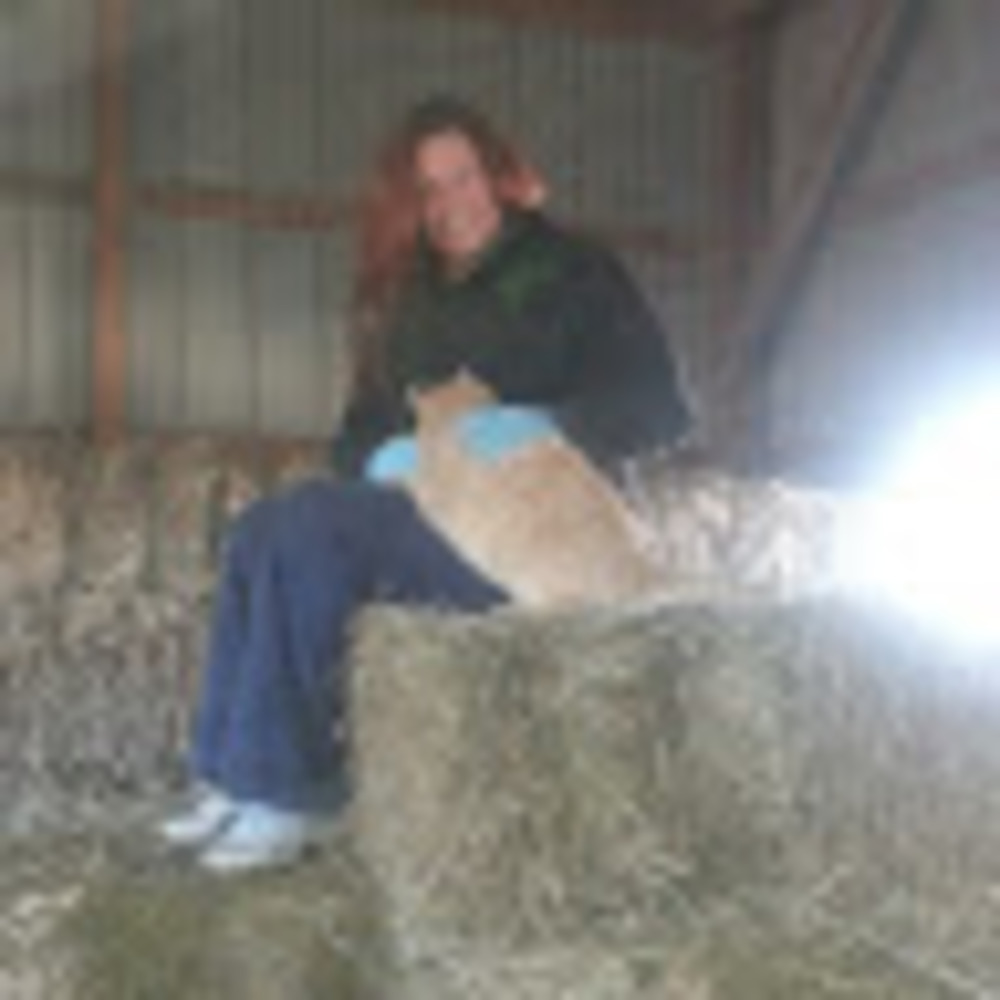 Meet your Posher, Holly